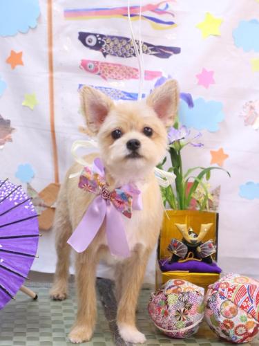 20240526リクくん